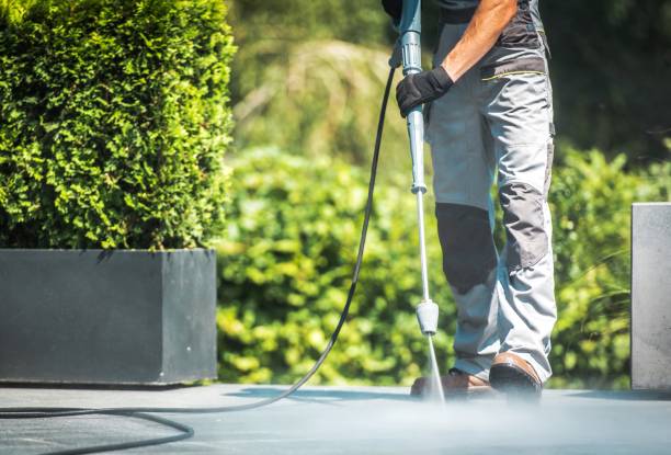 Best Boat and Dock Cleaning  in Parachute, CO